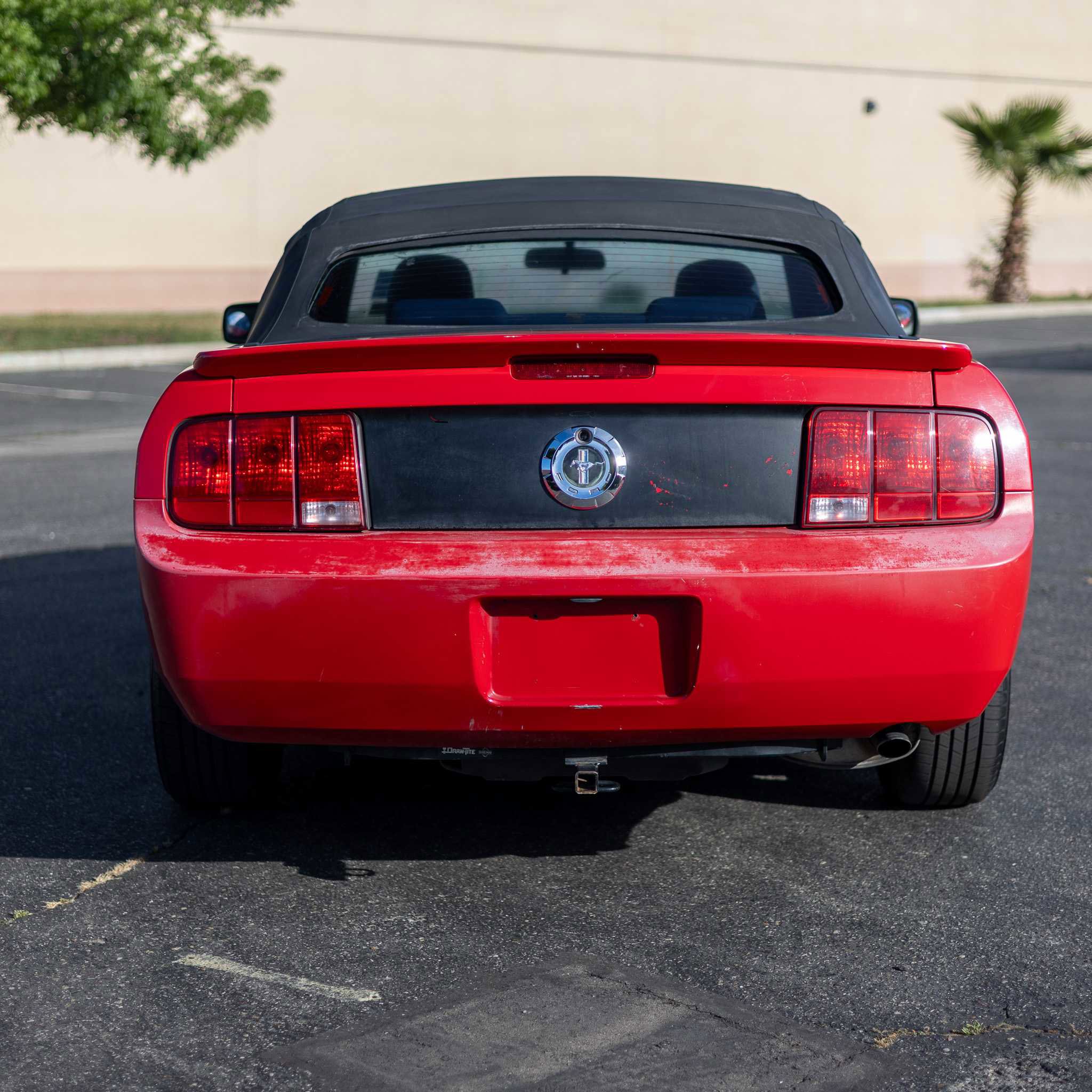 Used 2009 Ford Mustang Premium image 6