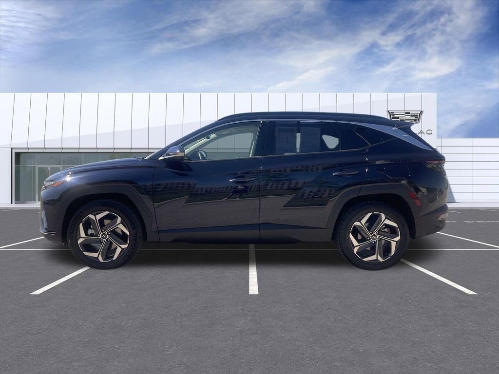 Used 2024 Hyundai Tucson Limited AWD/4WD image 5
