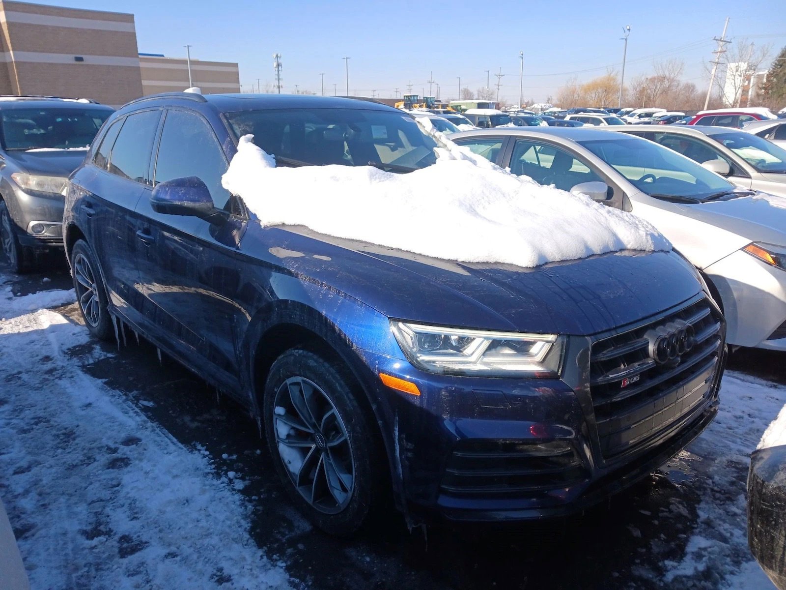 Used 2019 Audi SQ5 Prestige image 3