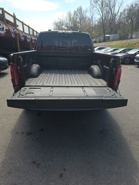 Used 2025 Ford F150 Raptor image 7