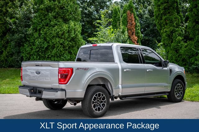 Used 2023 Ford F150 XLT w/ Equipment Group 302A High AWD/4WD image 5