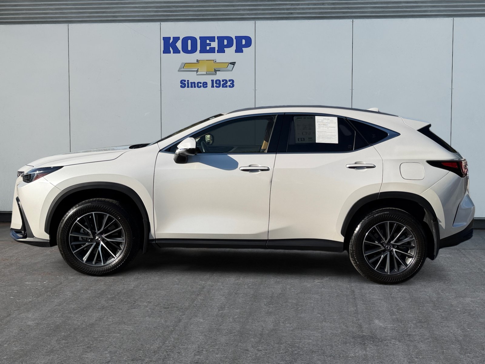 Used 2024 Lexus NX 250 FWD image 2