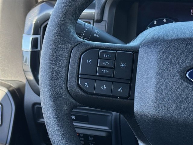 New 2025 Ford F150 STX w/ LOBO Package image 13