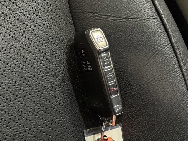 Used 2024 Kia Carnival SX Prestige image 28