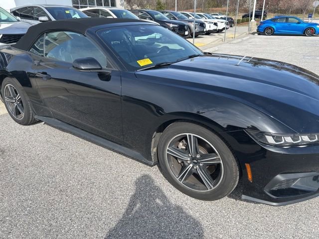 Used 2025 Ford Mustang Premium image 5