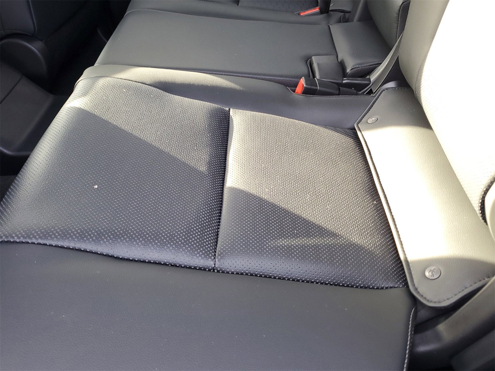 New 2026 Toyota Land Cruiser image 15