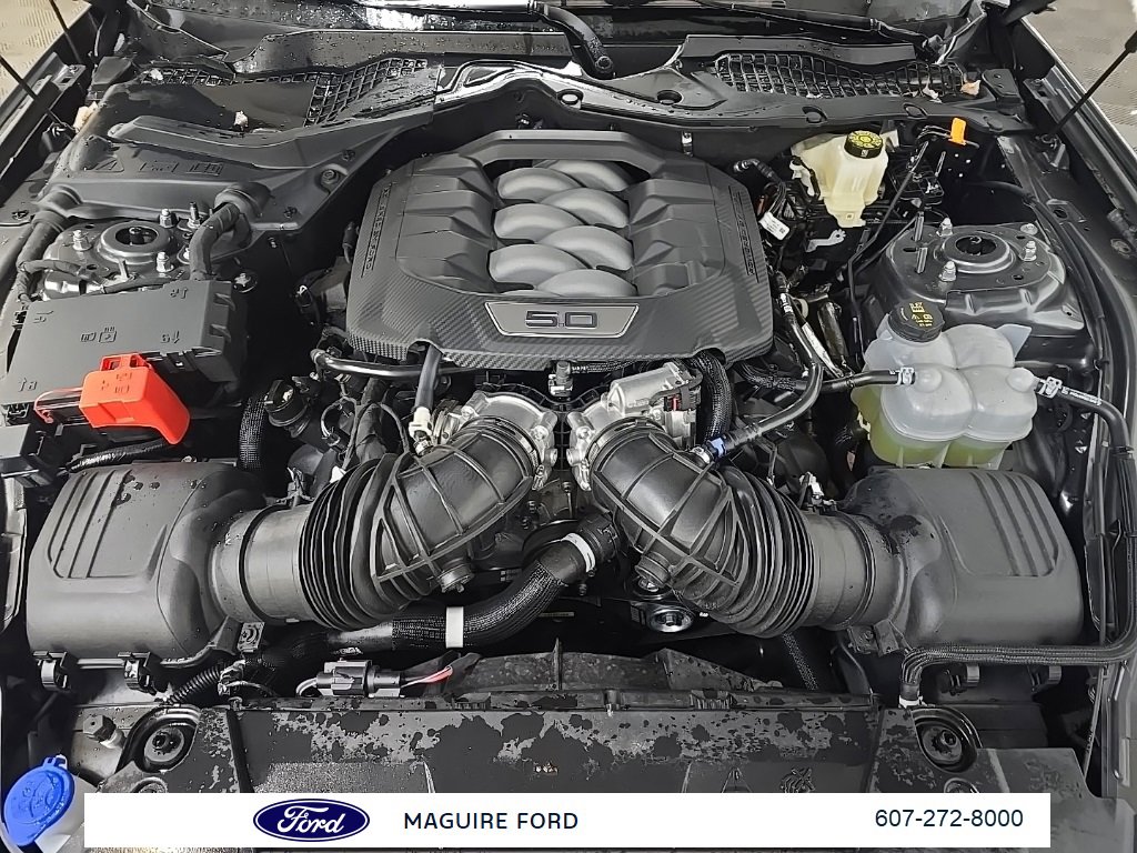 Used 2024 Ford Mustang GT Premium w/ California Special Package image 15