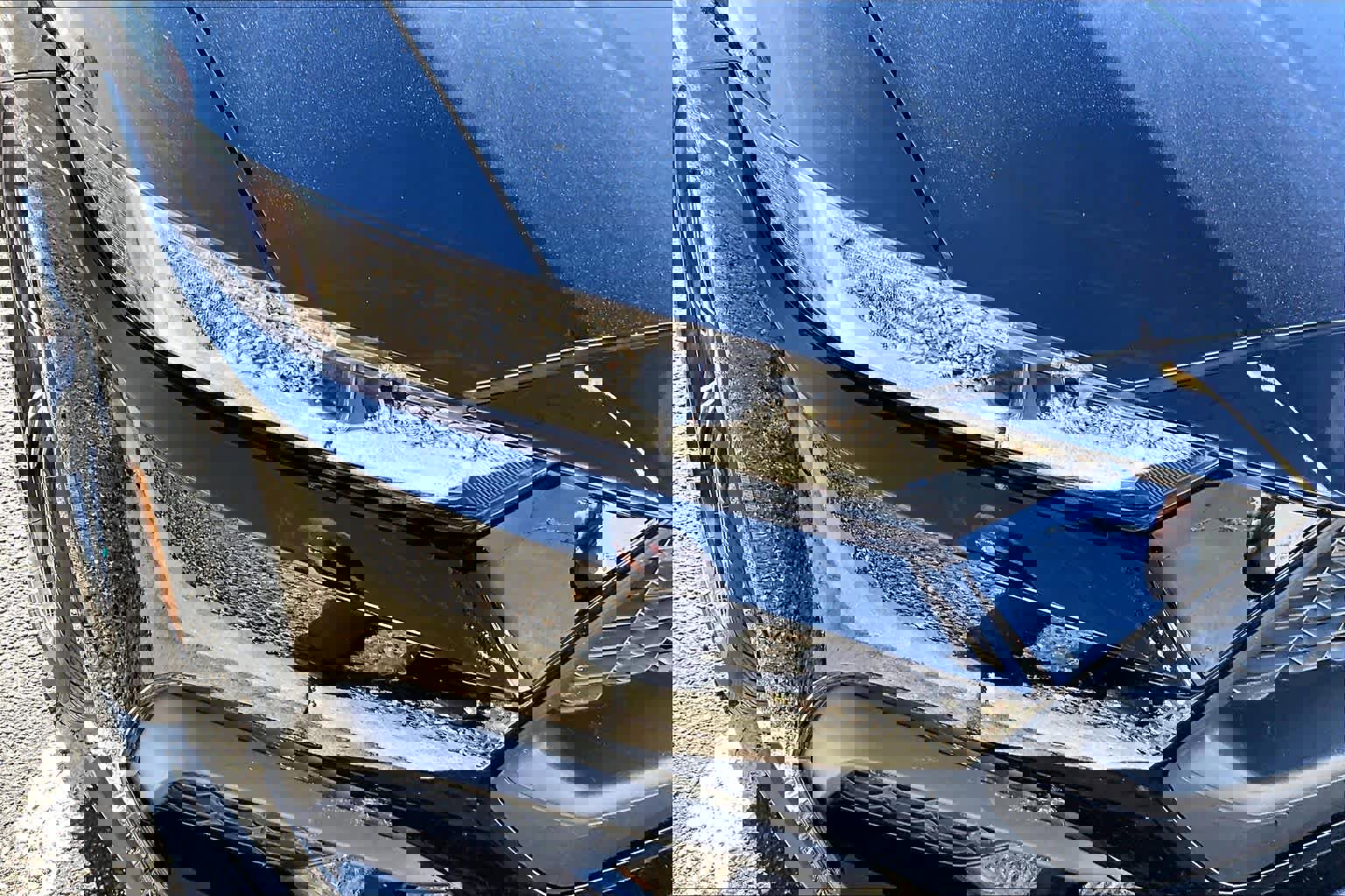 Used 2025 Ford Mustang Coupe image 23