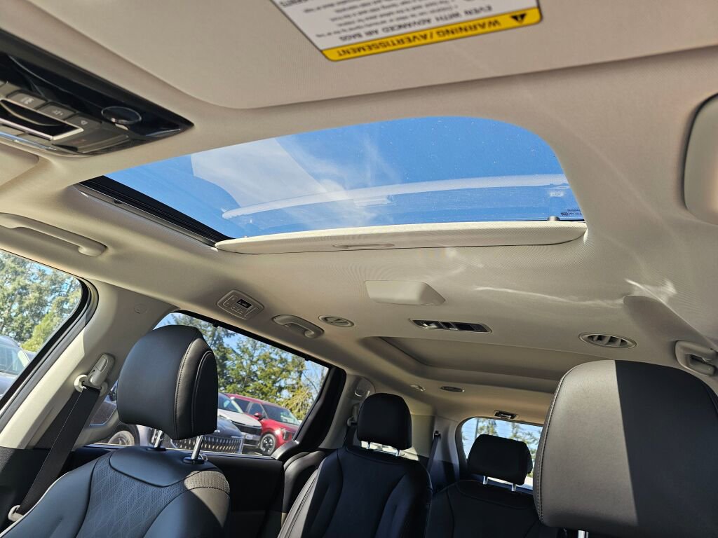 New 2026 Kia Carnival SX image 10