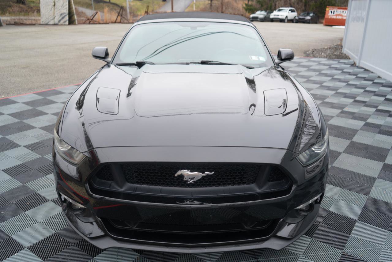 Used 2015 Ford Mustang GT Premium w/ Equipment Group 401A image 14