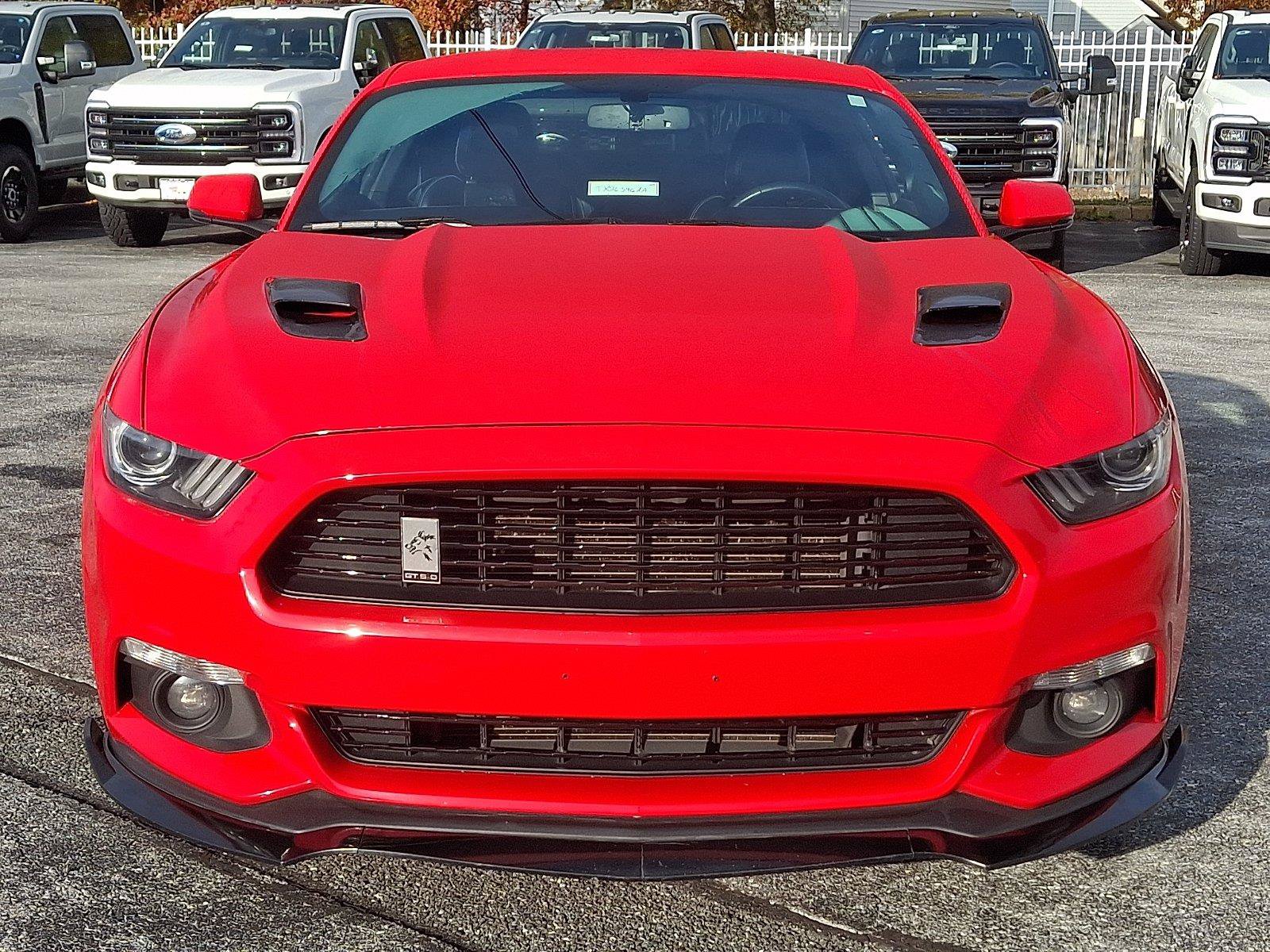 Used 2015 Ford Mustang GT Premium w/ 50 Years Appearance Package RWD image 2