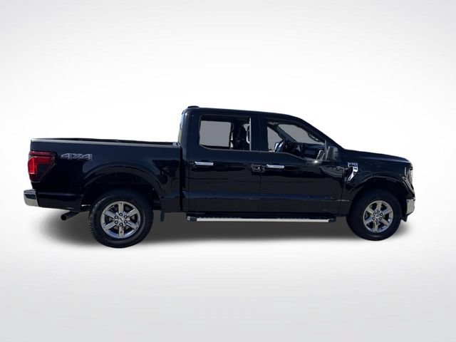 Used 2025 Ford F150 XLT w/ Equipment Group 301A Standard AWD/4WD image 6
