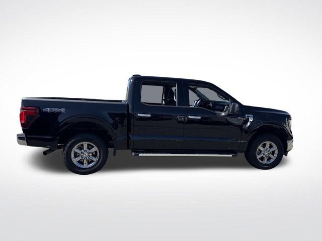 Used 2025 Ford F150 XLT w/ Equipment Group 301A Standard AWD/4WD image 6
