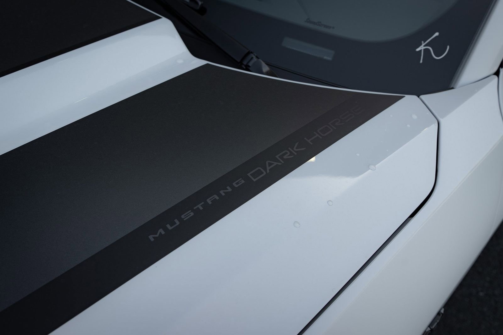 Used 2025 Ford Mustang Dark Horse RWD image 15