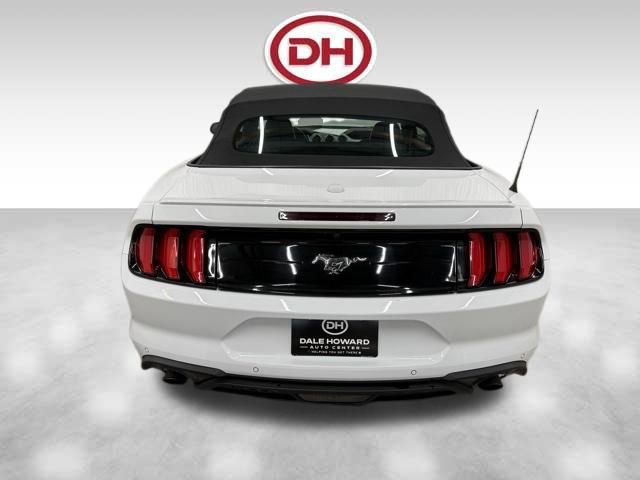 Used 2023 Ford Mustang Premium image 12