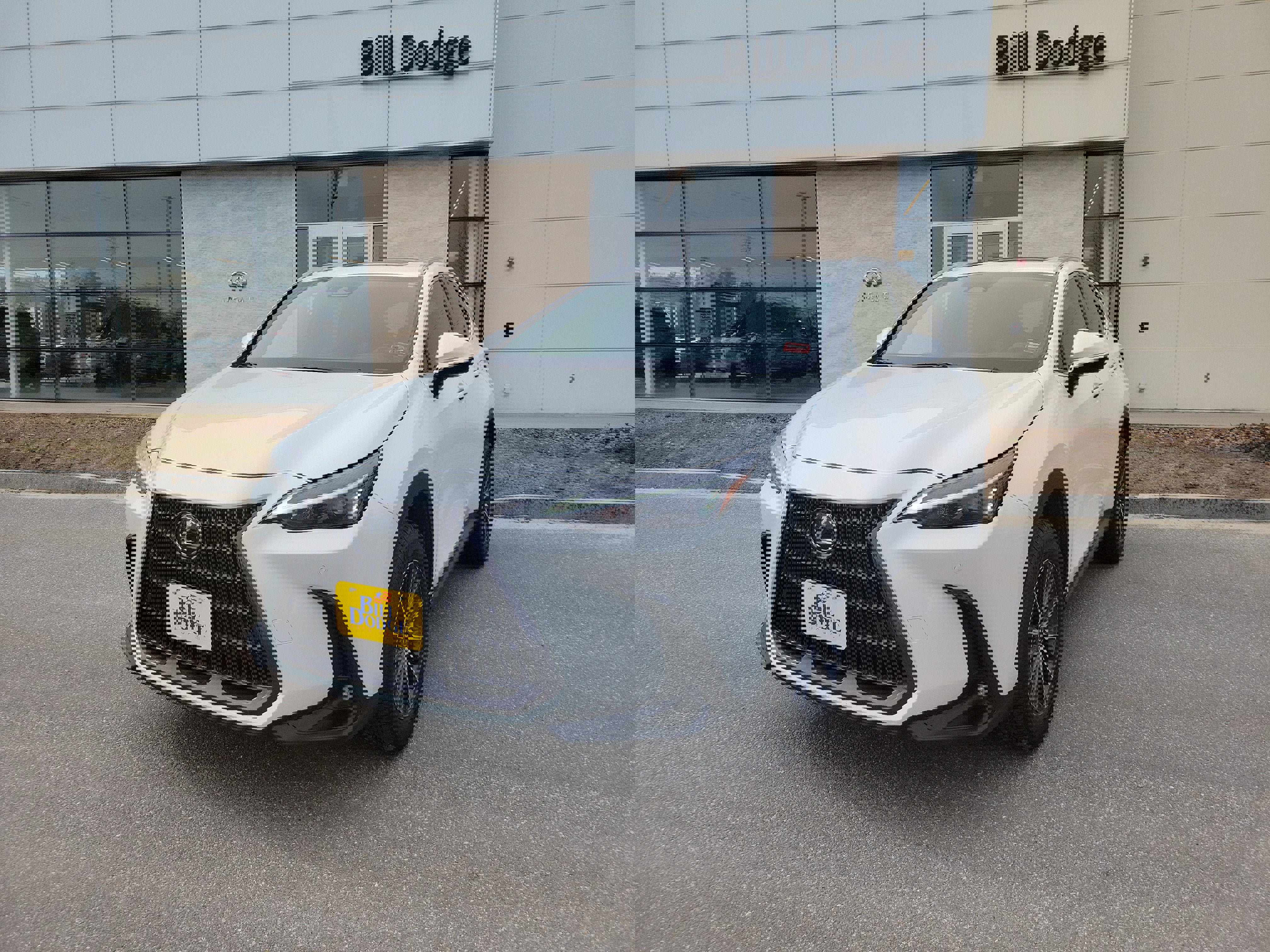 Used 2024 Lexus NX 350h AWD image 1