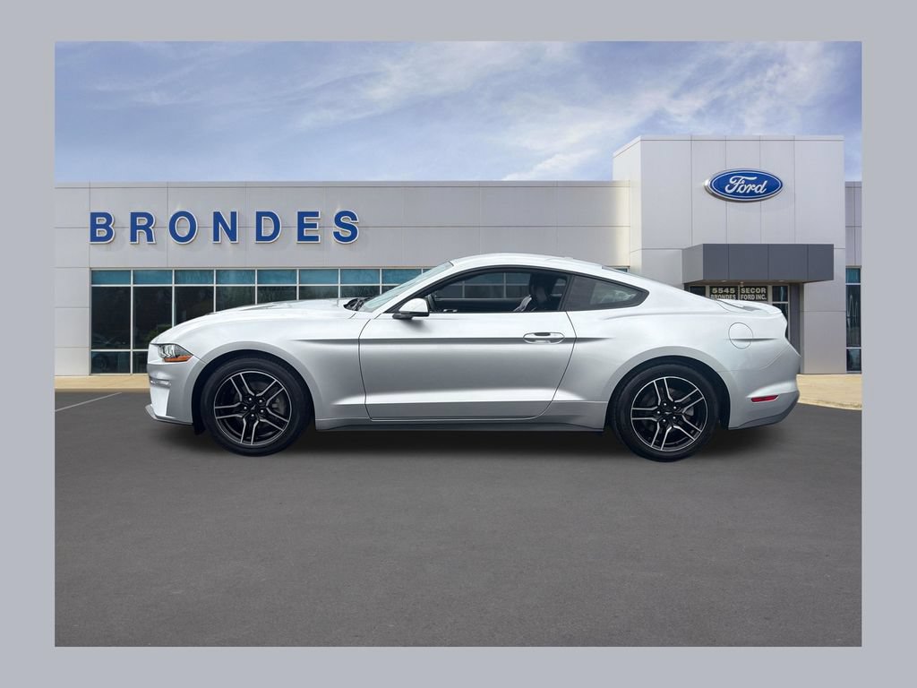 Used 2019 Ford Mustang Premium w/ Equipment Group 201A RWD 360° Tour