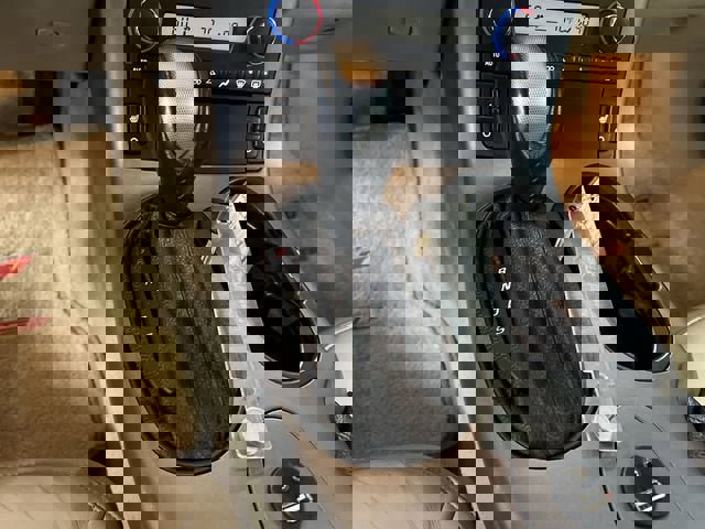 Used 2006 Chevrolet Corvette Convertible w/ Preferred Equipment Group image 14