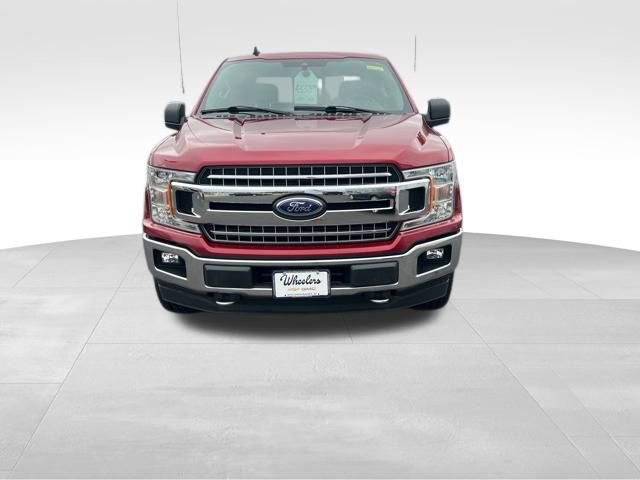 Used 2019 Ford F150 XLT w/ Equipment Group 302A Luxury image 2