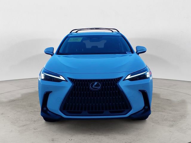 Certified 2025 Lexus NX 350h AWD w/ Cold Area Package image 8