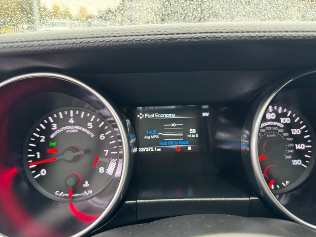 Used 2019 Ford Mustang GT w/ Equipment Group 301A image 18