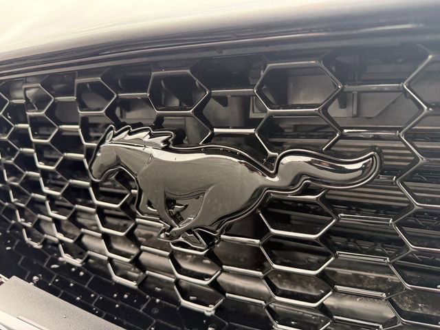 New 2026 Ford Mustang GT Premium RWD image 24