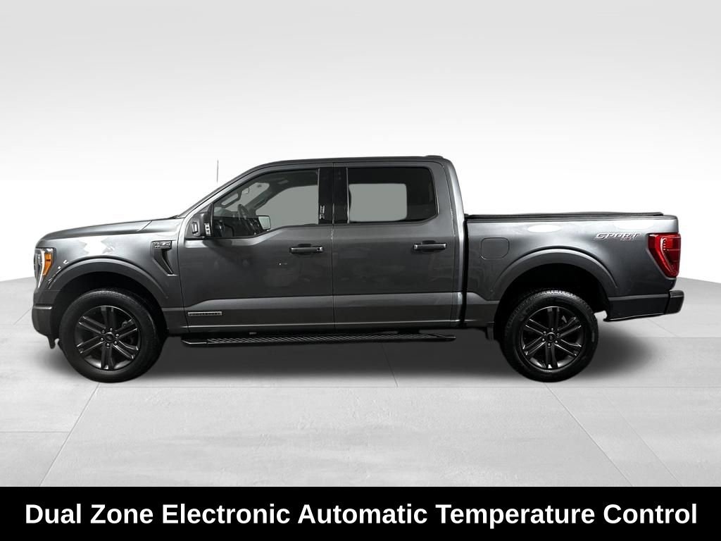 Used 2023 Ford F150 XLT w/ Equipment Group 302A High image 7
