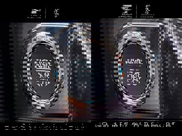 Used 2025 Ford F150 Raptor w/ Equipment Group 803A Raptor R image 21