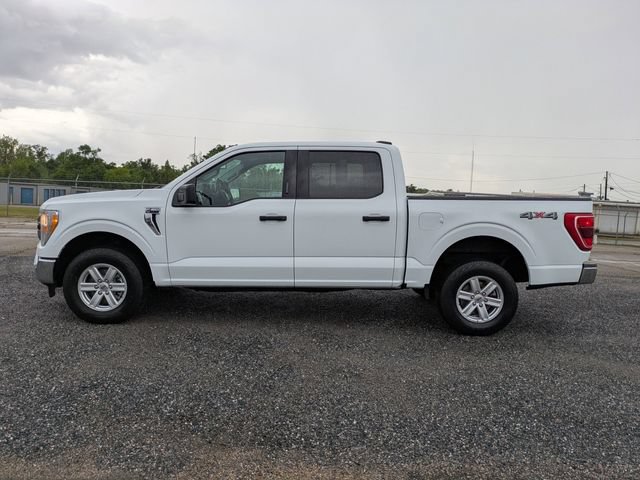 Used 2022 Ford F150 XLT w/ Equipment Group 301A Mid AWD/4WD image 7