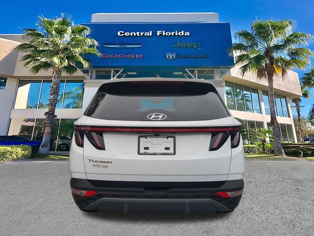 Used 2024 Hyundai Tucson Limited image 6