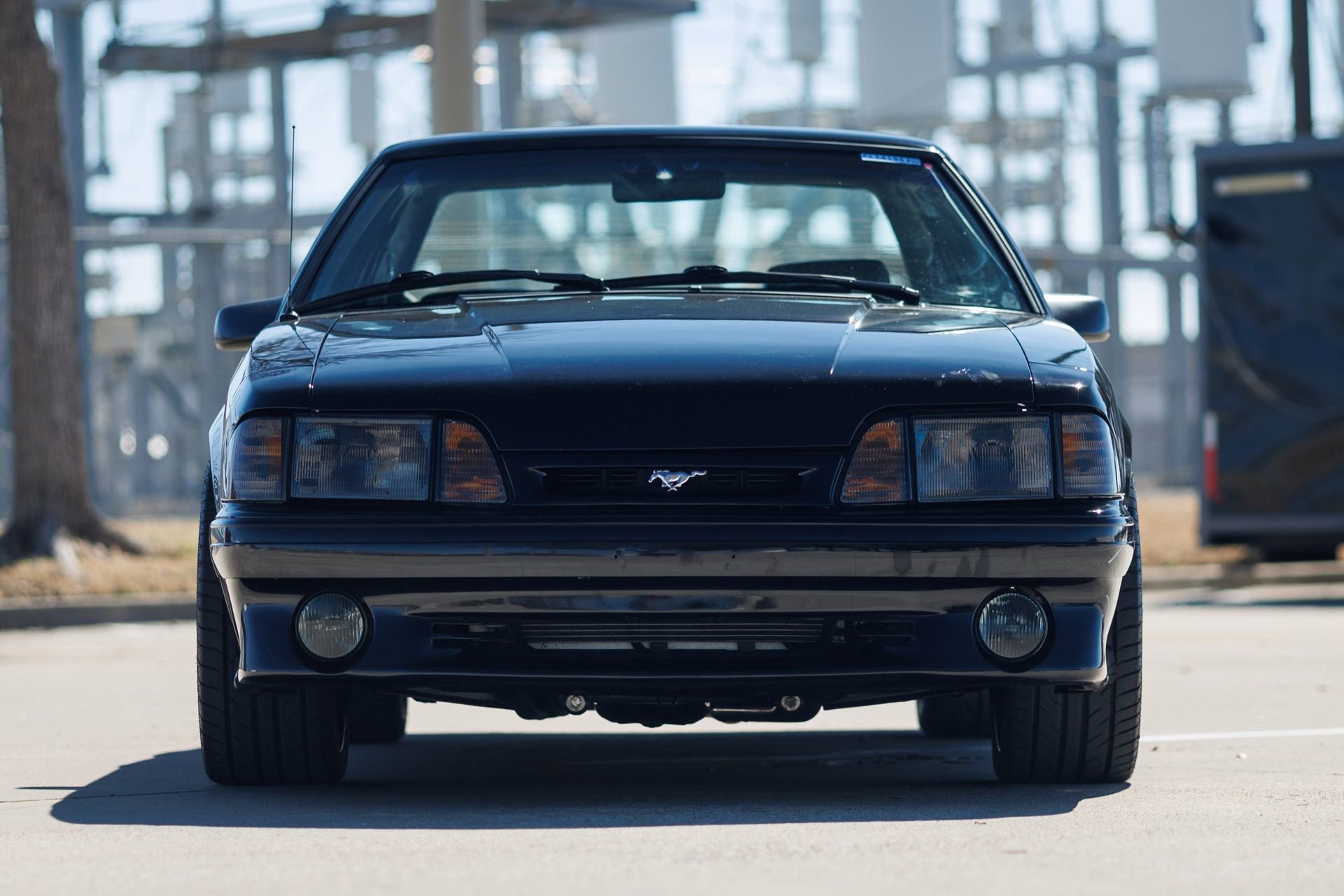 Used 1993 Ford Mustang Cobra image 6