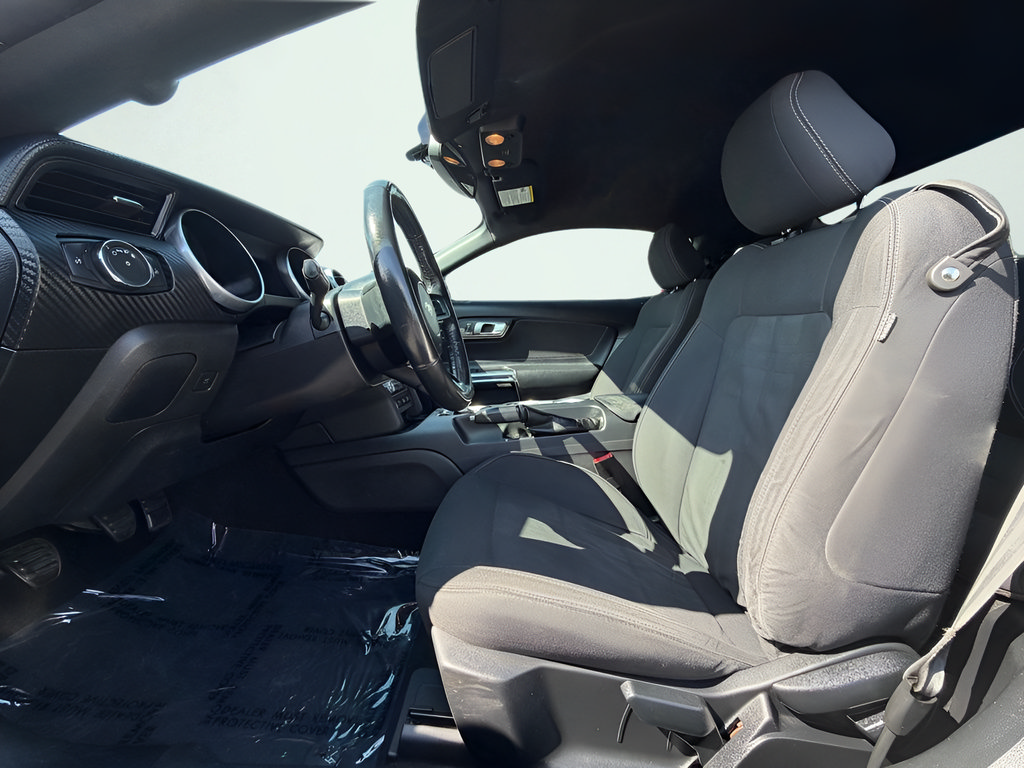 Used 2019 Ford Mustang Coupe RWD image 16