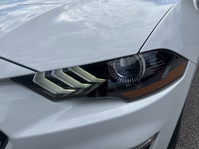 Used 2019 Ford Mustang GT Premium RWD image 9