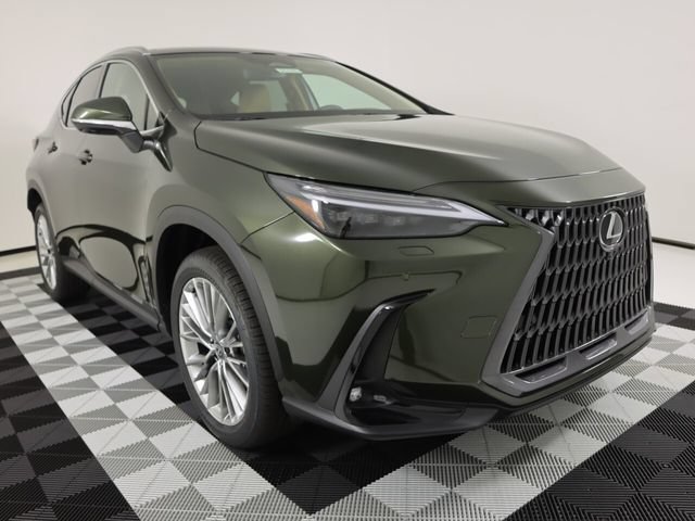 New 2026 Lexus NX 350 AWD w/ Cold Area Package image 6