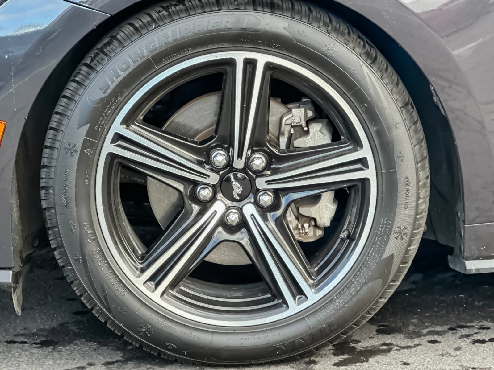 Used 2024 Ford Mustang Premium RWD image 24