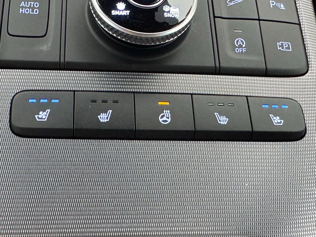 Used 2024 Hyundai Palisade Calligraphy AWD/4WD image 6