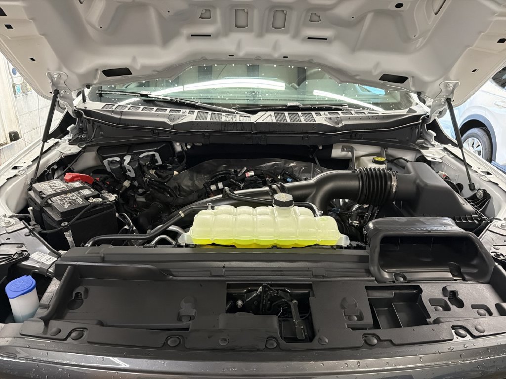 New 2026 Ford F150 STX w/ Equipment Group 200A AWD/4WD image 17