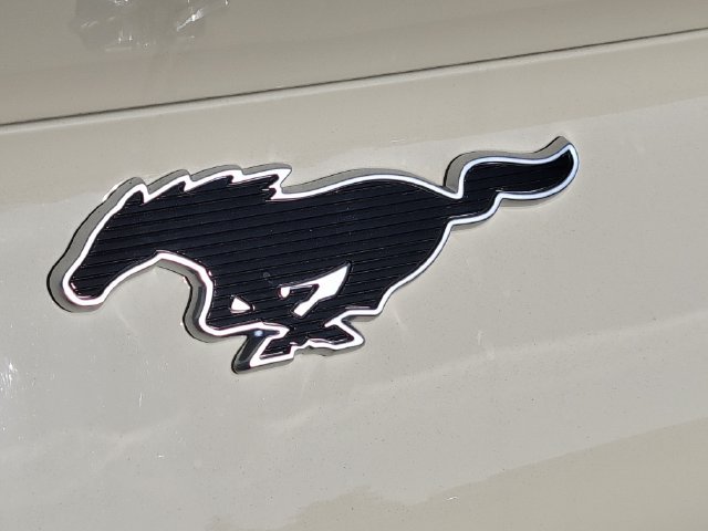 New 2026 Ford Mustang Mach-E Select RWD image 22