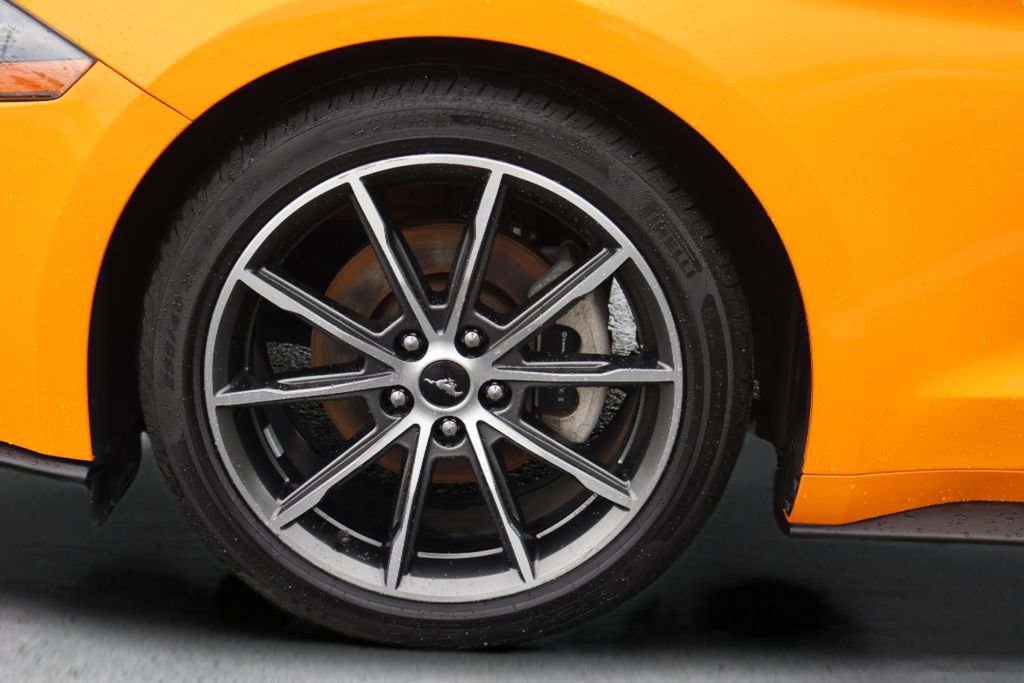Used 2019 Ford Mustang Premium w/ Equipment Group 201A RWD image 27