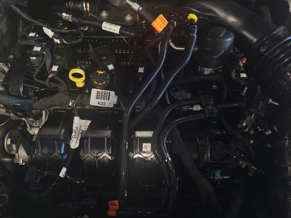 Used 2024 Ford Edge SEL image 30