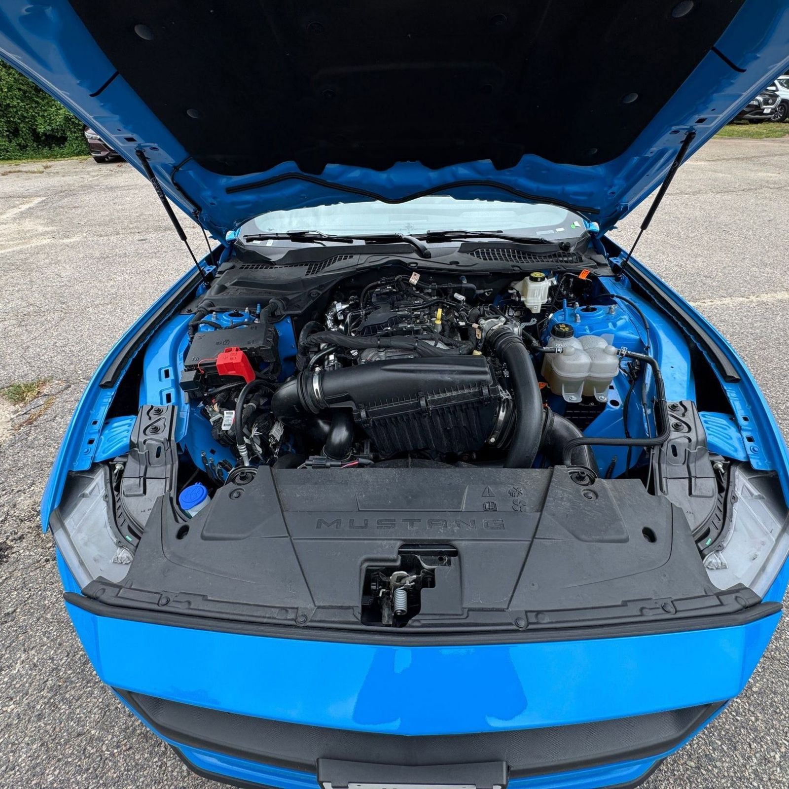 Used 2024 Ford Mustang Premium image 25