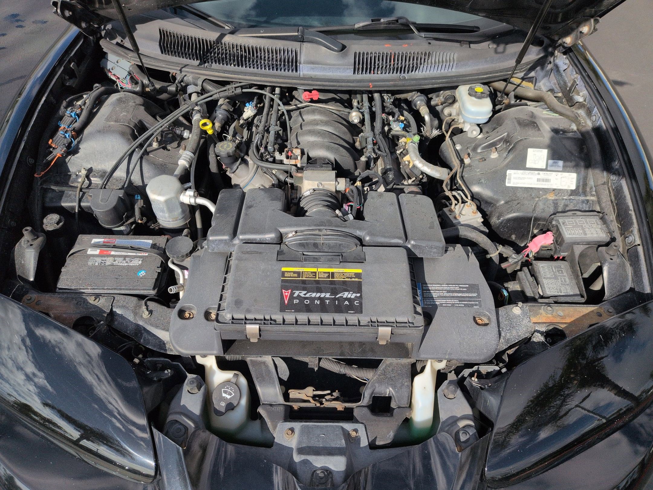 Used 2002 Pontiac Firebird Trans Am image 31