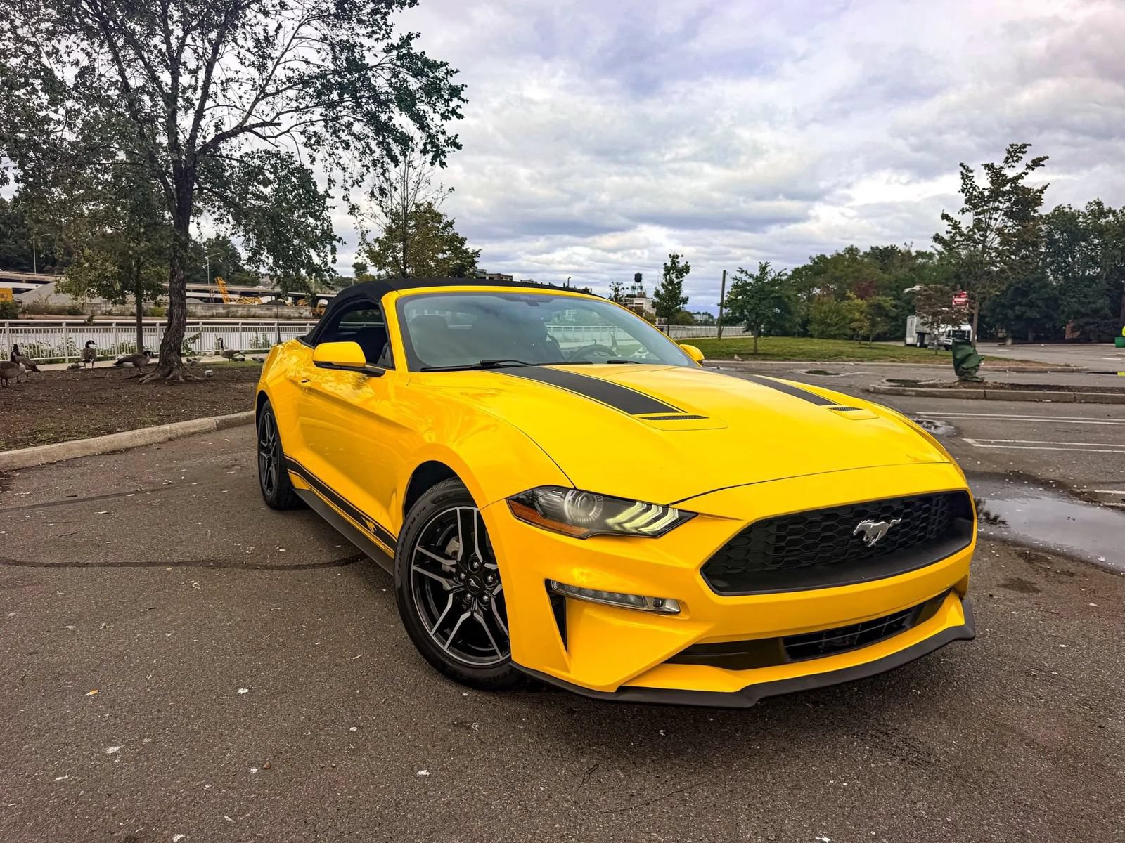 Used 2018 Ford Mustang Premium w/ Equipment Group 201A RWD image 29