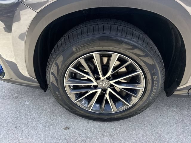 Certified 2023 Lexus NX 250 FWD w/ Towing Package (2000 Lbs) image 10