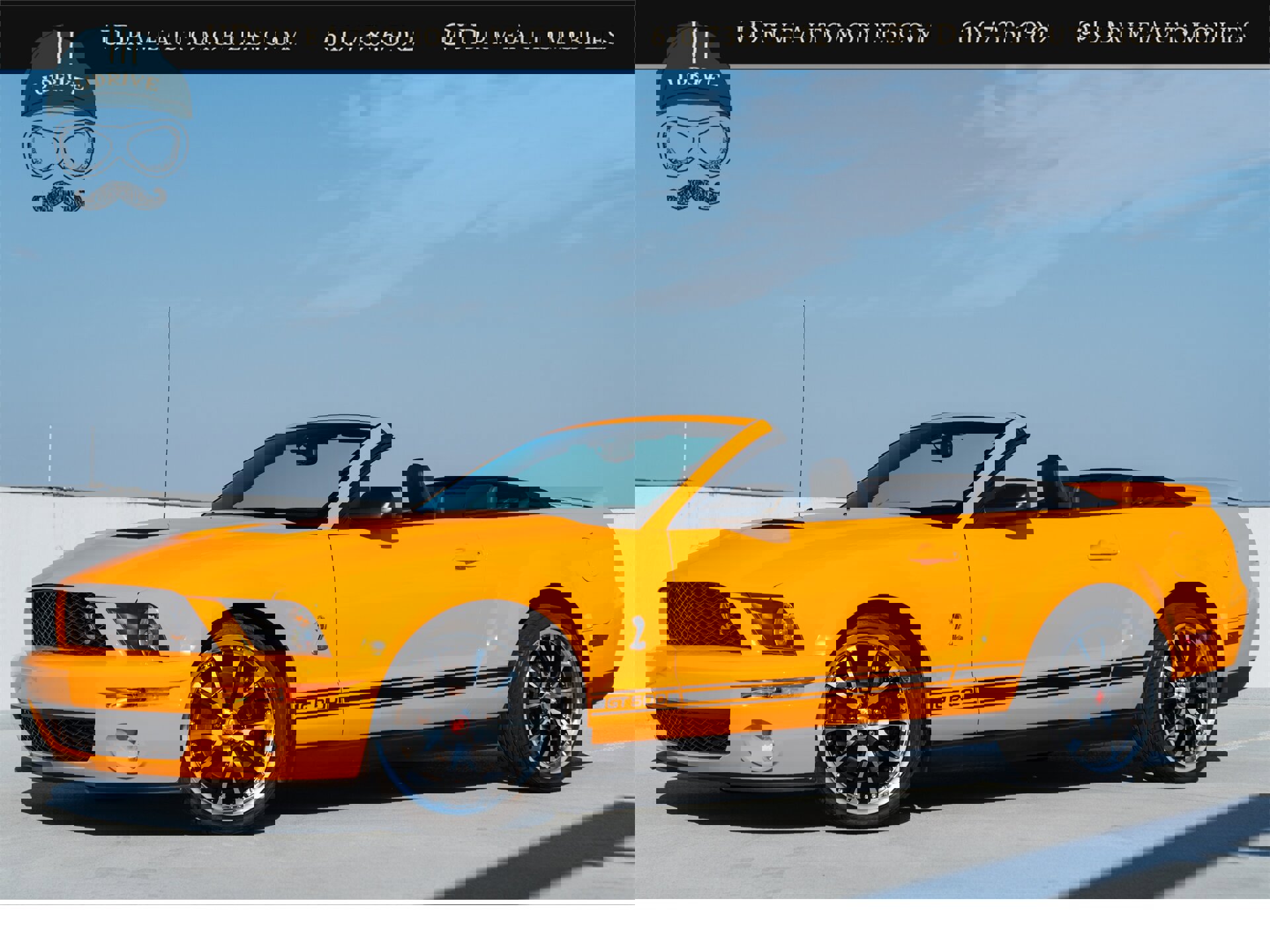 Used 2008 Ford Mustang Shelby GT500 image 1