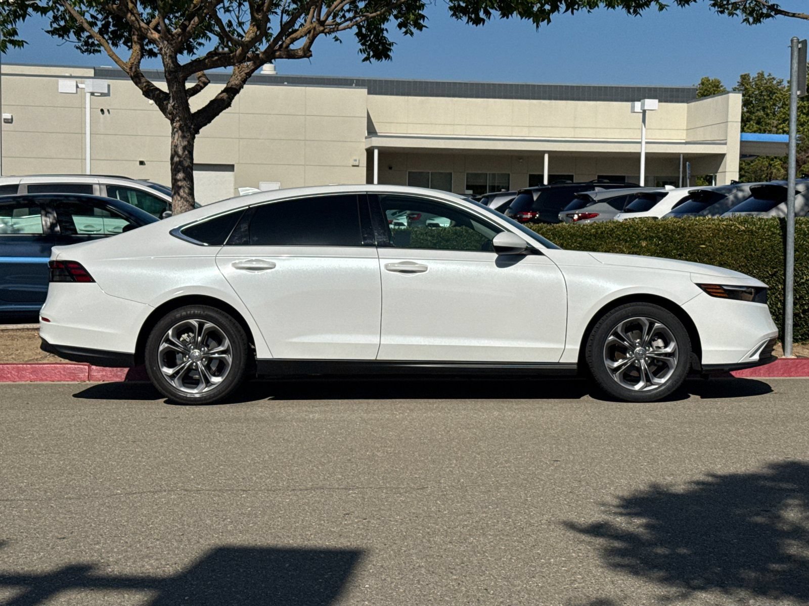 Used 2024 Honda Accord EX image 7