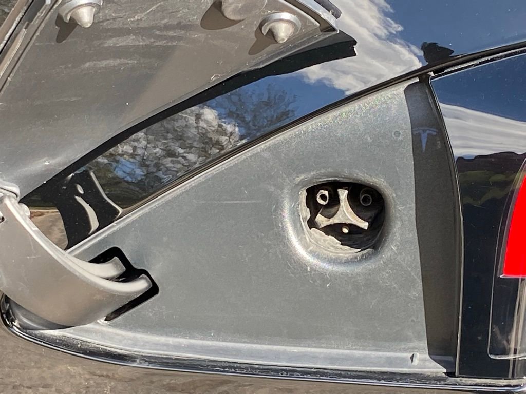 Used 2023 Tesla Model S Standard Range image 14