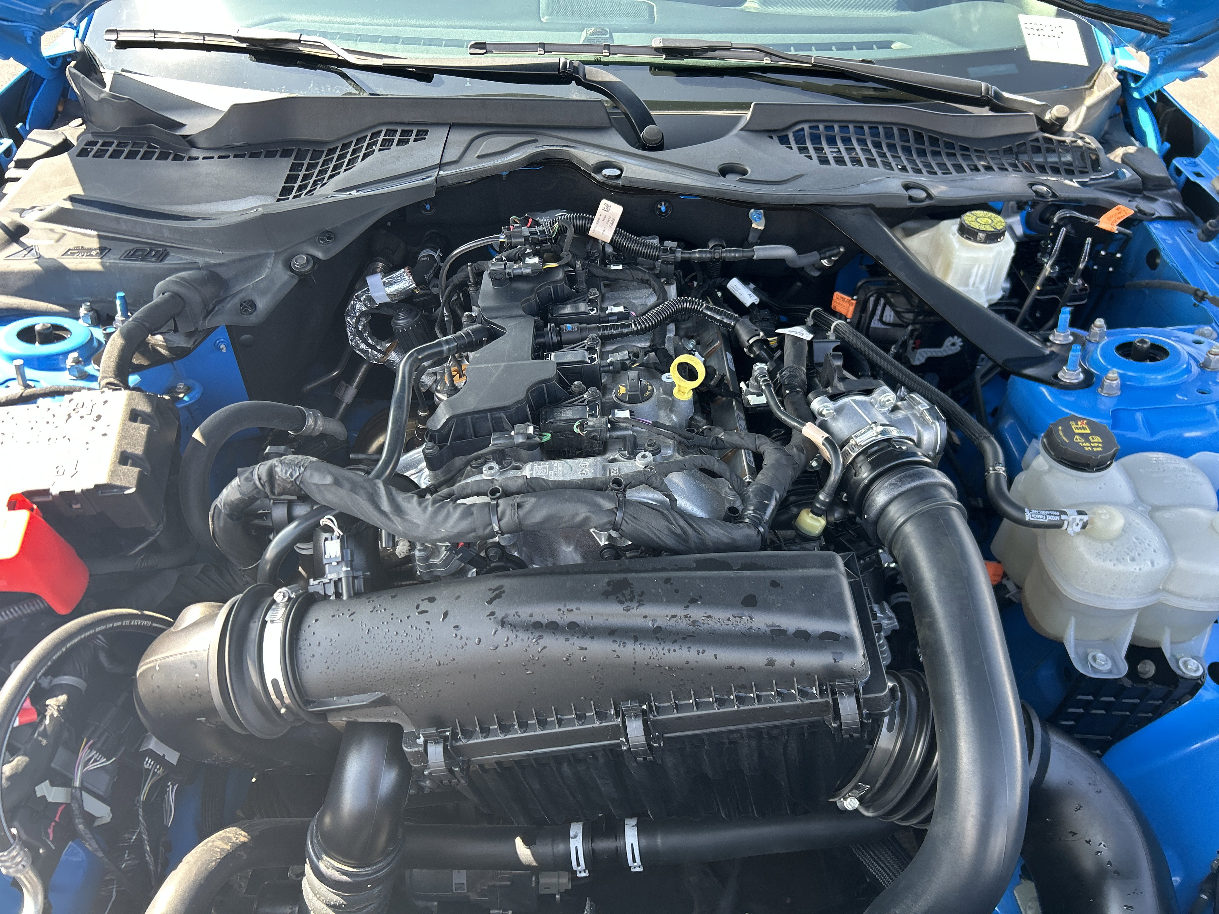 Used 2024 Ford Mustang Premium image 31