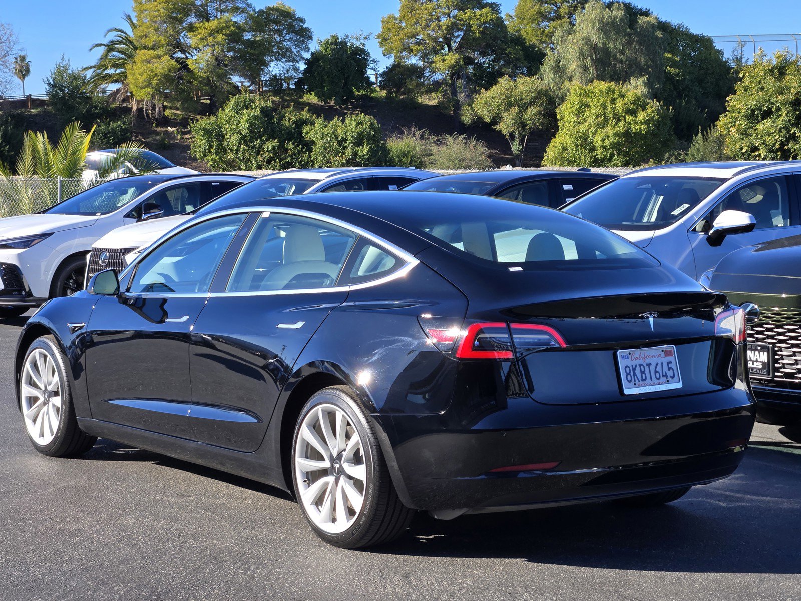 Used 2019 Tesla Model 3 Standard Range Plus image 6