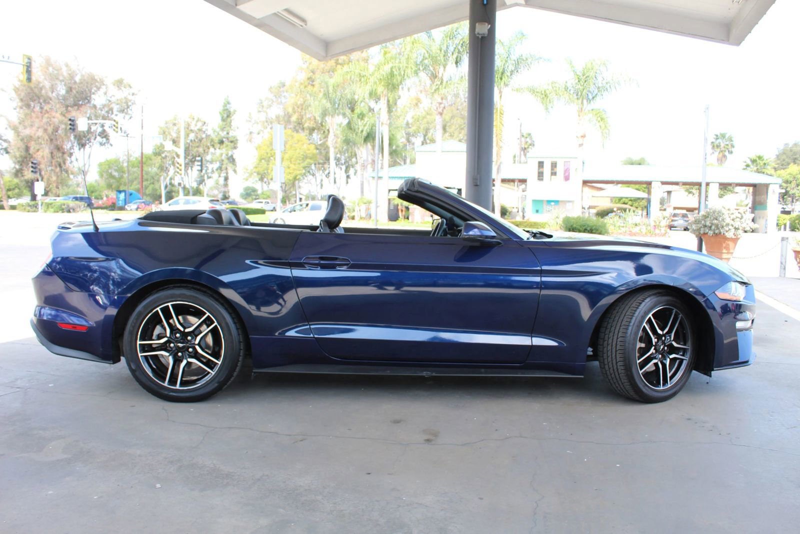 Used 2019 Ford Mustang Premium image 14